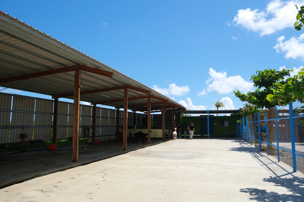 墾草趣親子園區|近距離餵食梅花鹿、草泥馬和小兔兔 @飛天璇的口袋 墾草趣親子園區|近距離餵食梅花鹿、草泥馬和小兔兔 @飛天璇的口袋