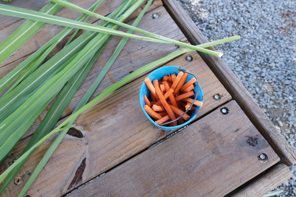 墾草趣親子園區|近距離餵食梅花鹿、草泥馬和小兔兔 @飛天璇的口袋 墾草趣親子園區|近距離餵食梅花鹿、草泥馬和小兔兔 @飛天璇的口袋