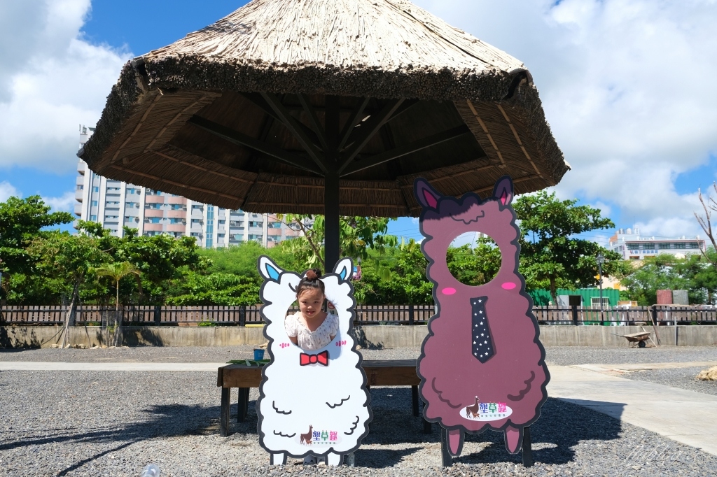 墾草趣親子園區｜近距離餵食梅花鹿、草泥馬和小兔兔 @飛天璇的口袋