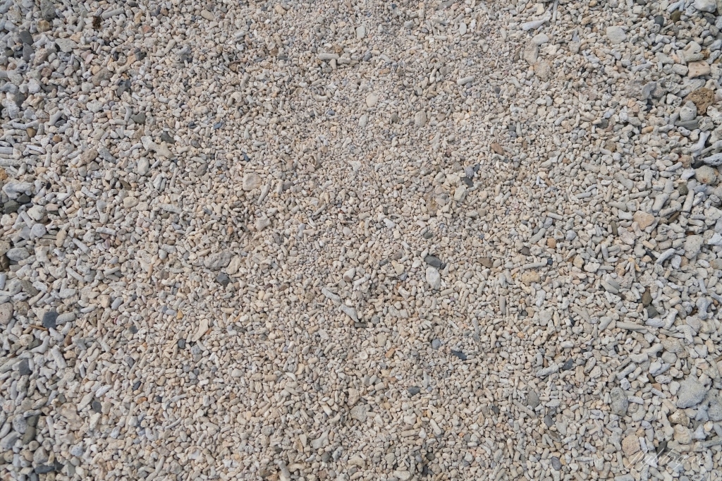 小峇里島岩沙灘｜墾丁天然珊瑚礁海域，浮潛愛好者的聖地 @飛天璇的口袋