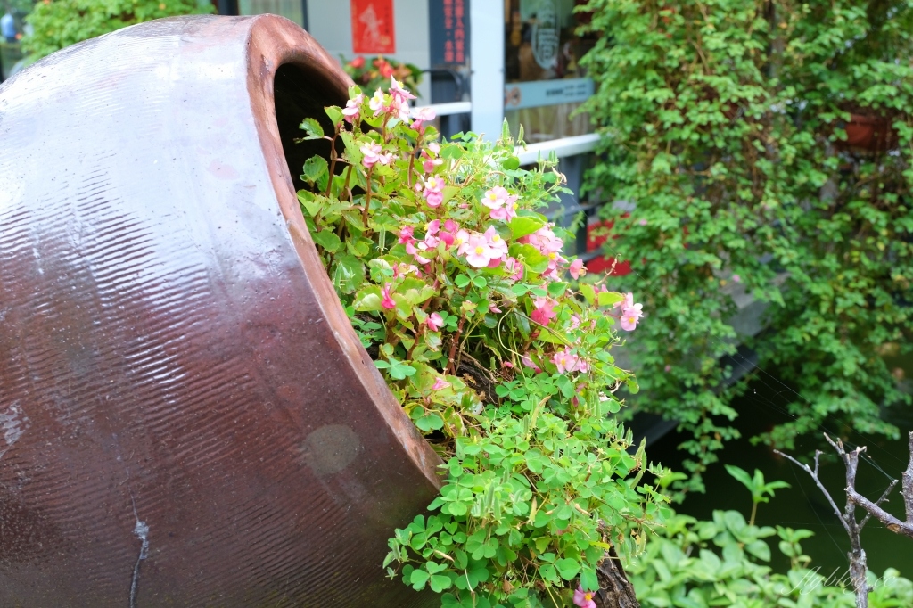 南投埔里｜土角厝水上庭園餐廳．自然景觀桃米村水上餐廳，旋轉餐廳品嚐親家母料理 @飛天璇的口袋