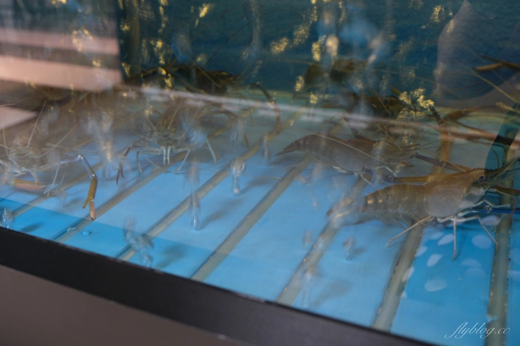 鴻龍宴餐廳｜台中現撈活蝦料理，把整條船都開進餐廳裡 @飛天璇的口袋