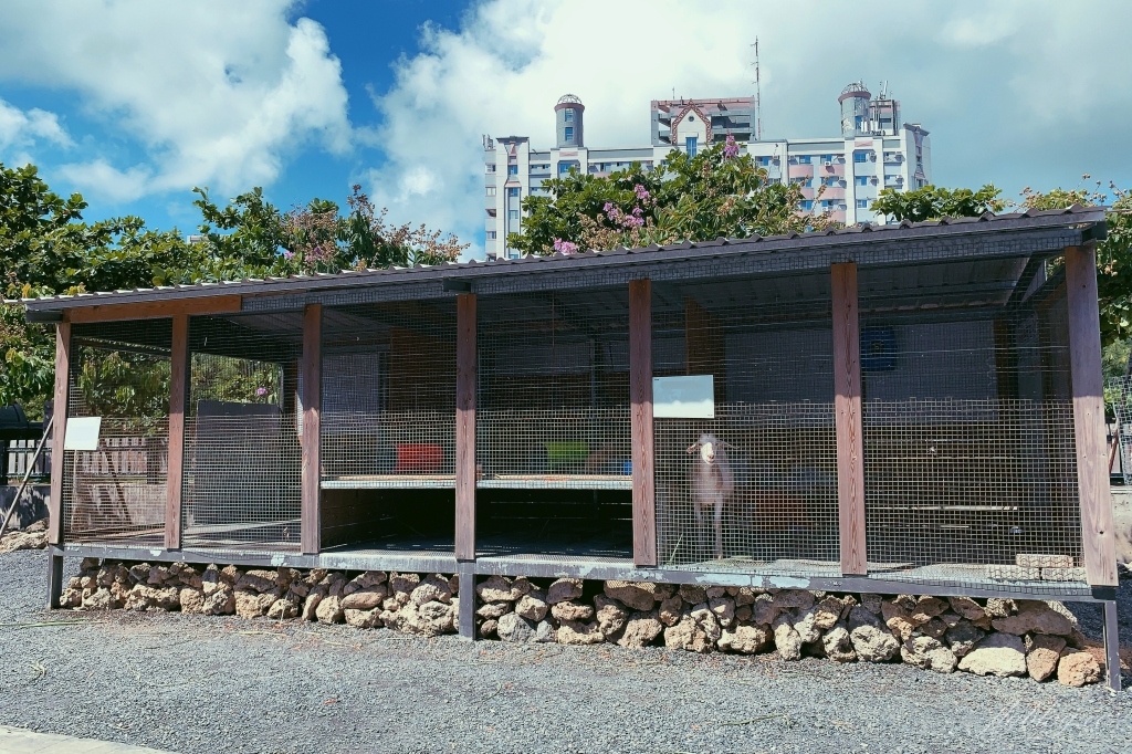 墾草趣親子園區｜近距離餵食梅花鹿、草泥馬和小兔兔 @飛天璇的口袋