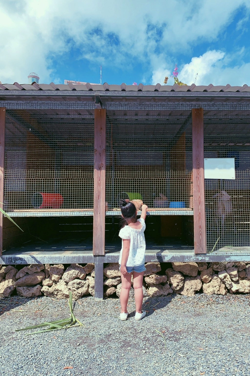 墾草趣親子園區|近距離餵食梅花鹿、草泥馬和小兔兔 @飛天璇的口袋 墾草趣親子園區|近距離餵食梅花鹿、草泥馬和小兔兔 @飛天璇的口袋