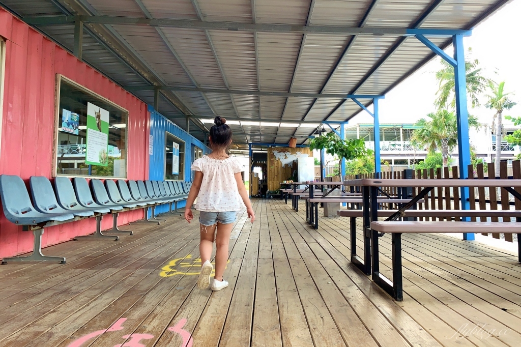 墾草趣親子園區｜近距離餵食梅花鹿、草泥馬和小兔兔 @飛天璇的口袋