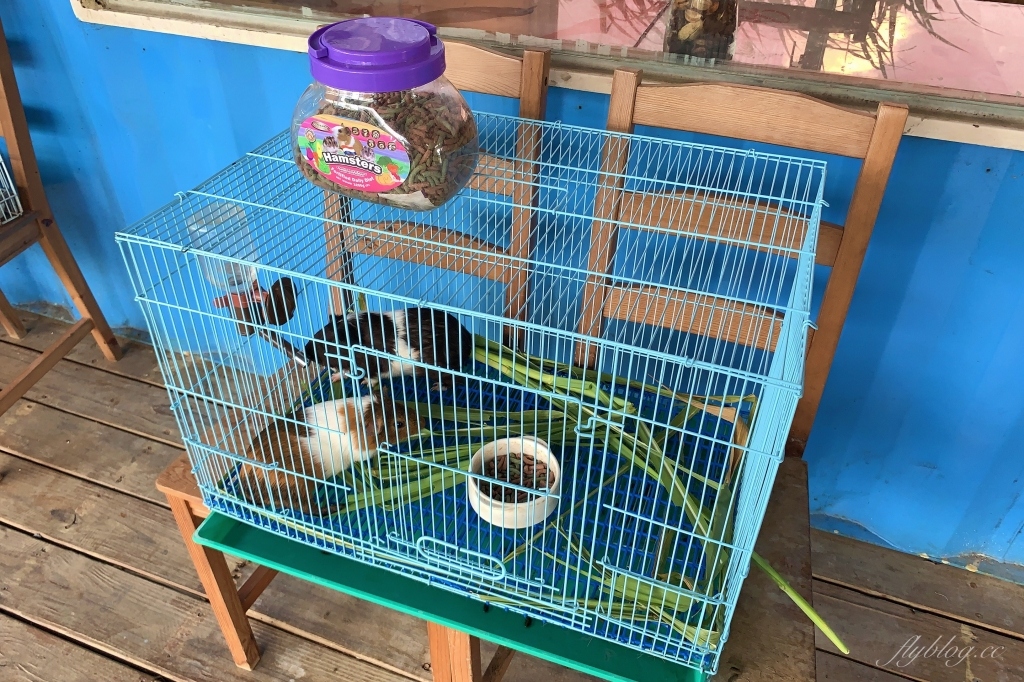 墾草趣親子園區|近距離餵食梅花鹿、草泥馬和小兔兔 @飛天璇的口袋 墾草趣親子園區|近距離餵食梅花鹿、草泥馬和小兔兔 @飛天璇的口袋