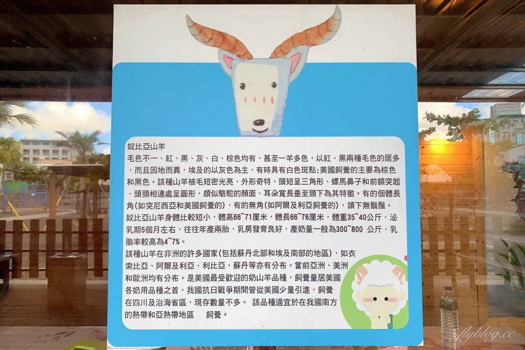 墾草趣親子園區｜近距離餵食梅花鹿、草泥馬和小兔兔 @飛天璇的口袋