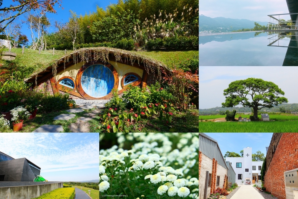 苗栗銅鑼｜銅鑼杭菊芋頭節．11/12~11/13秋美人農場登場，提供免費的芋頭米粉和芋頭粥 @飛天璇的口袋