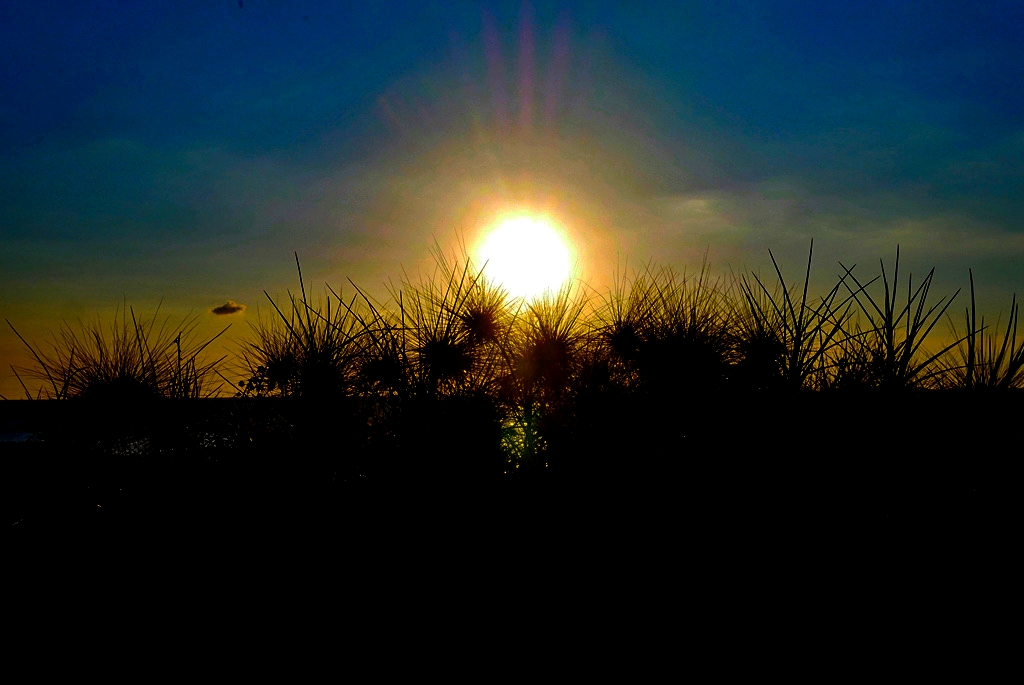 桃園觀音｜草漯沙丘，桃園IG打卡熱門景點，台灣版沙哈拉沙漠 @飛天璇的口袋