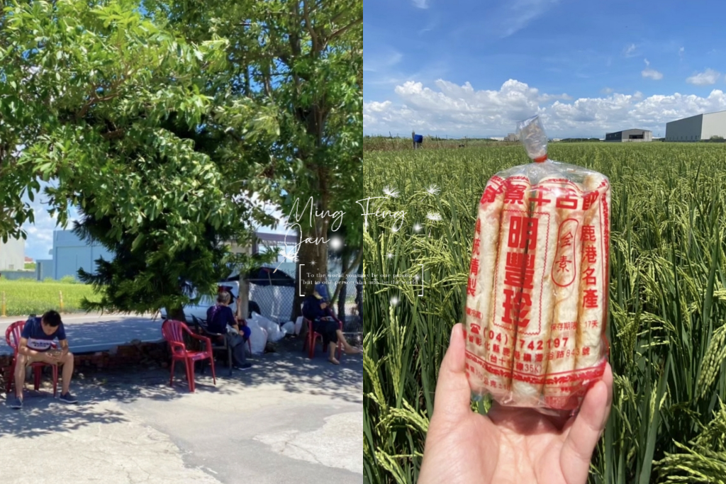 彰化鹿港｜明豐珍兔仔寮牛舌餅．鹿港必買伴手禮，超好吃的團購牛舌餅 @飛天璇的口袋
