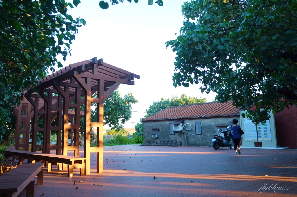 桃園觀音｜草漯沙丘，桃園IG打卡熱門景點，台灣版沙哈拉沙漠 @飛天璇的口袋