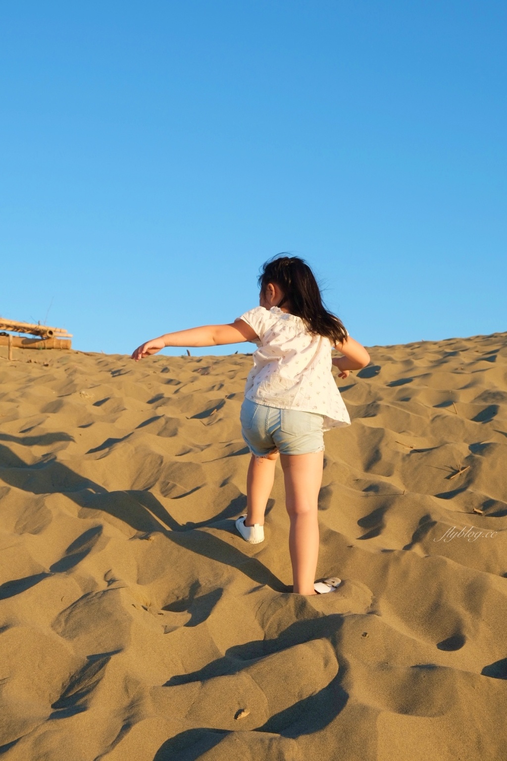 桃園觀音｜草漯沙丘，桃園IG打卡熱門景點，台灣版沙哈拉沙漠 @飛天璇的口袋