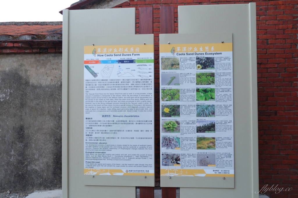 桃園觀音｜草漯沙丘，桃園IG打卡熱門景點，台灣版沙哈拉沙漠 @飛天璇的口袋