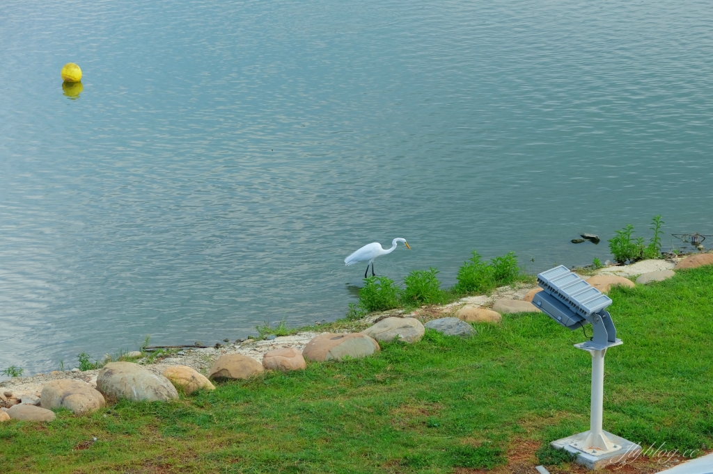 龍潭大池｜龍潭情侶約會和親子旅遊好地方，湖景木棧道、天鵝船遊湖、賞夕陽美景 @飛天璇的口袋