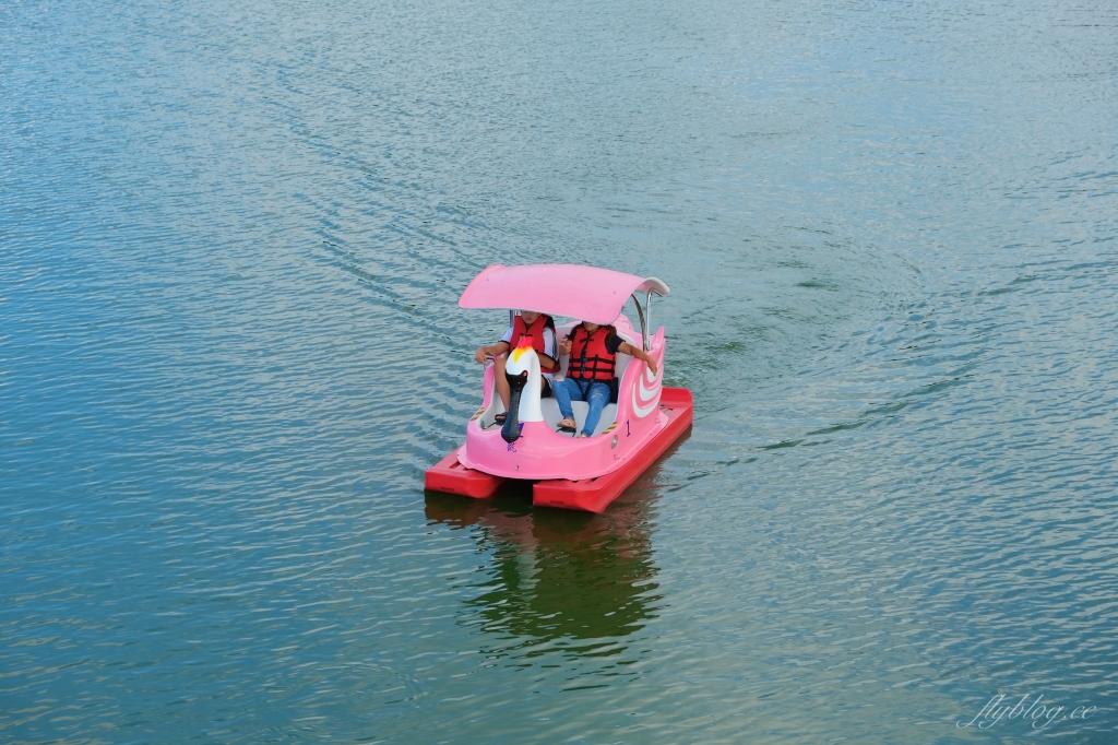 龍潭大池｜龍潭情侶約會和親子旅遊好地方，湖景木棧道、天鵝船遊湖、賞夕陽美景 @飛天璇的口袋
