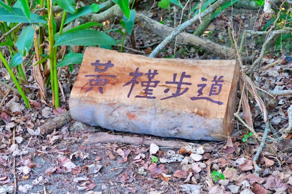 桃園觀音｜草漯沙丘，桃園IG打卡熱門景點，台灣版沙哈拉沙漠 @飛天璇的口袋