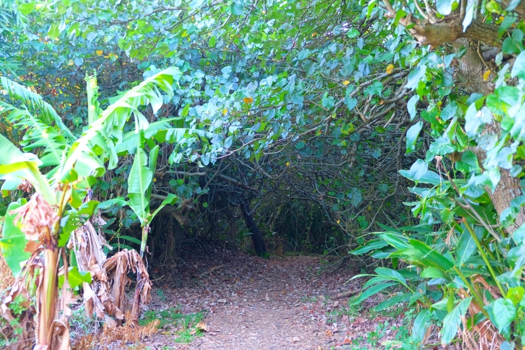 桃園觀音｜草漯沙丘，桃園IG打卡熱門景點，台灣版沙哈拉沙漠 @飛天璇的口袋