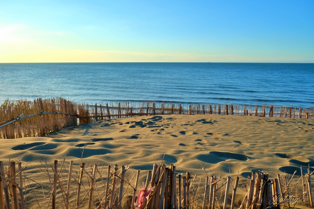 桃園觀音｜草漯沙丘，桃園IG打卡熱門景點，台灣版沙哈拉沙漠 @飛天璇的口袋