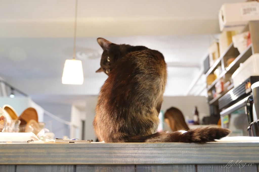疍宅Egghost｜隱藏巷弄裡的老宅咖啡館，甜點和飲料都很有溫度 @飛天璇的口袋