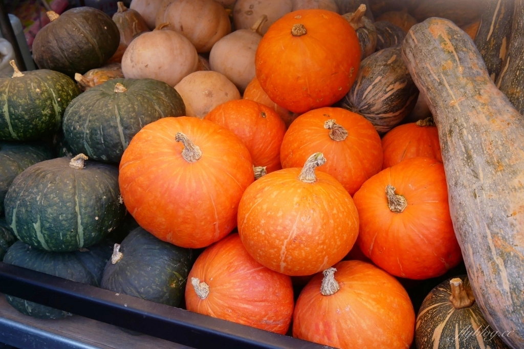 嘉義西區｜文化路酪梨牛奶專賣店．文化路夜市的人氣飲料攤，全年供應草莓牛奶好喝 @飛天璇的口袋