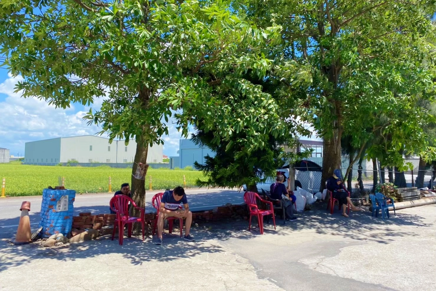 彰化鹿港｜明豐珍兔仔寮牛舌餅．鹿港必買伴手禮，超好吃的團購牛舌餅 @飛天璇的口袋