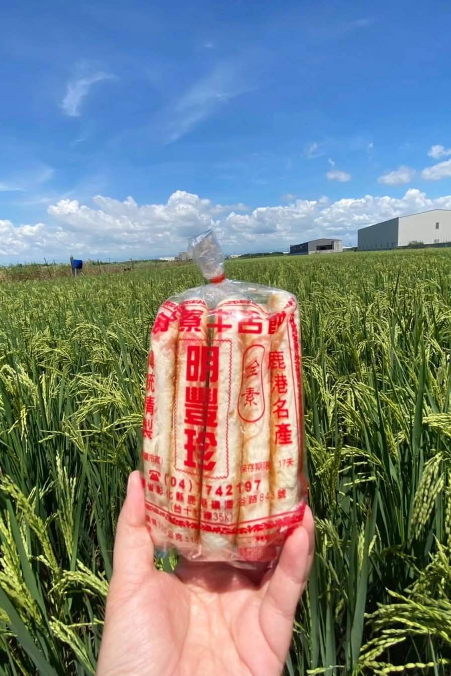 彰化鹿港｜明豐珍兔仔寮牛舌餅．鹿港必買伴手禮，超好吃的團購牛舌餅 @飛天璇的口袋