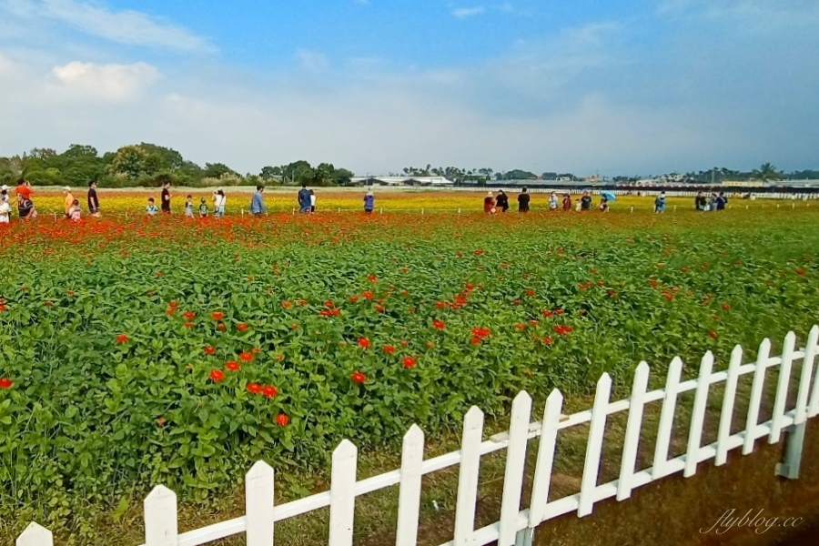 2020新社花海x台中國際花毯節|愛麗絲的花境冒險登場囉!交通方式、接駁車、停車場、美食推薦、旅遊景點 @飛天璇的口袋 2020新社花海x台中國際花毯節|愛麗絲的花境冒險登場囉!交通方式、接駁車、停車場、美食推薦、旅遊景點 @飛天璇的口袋