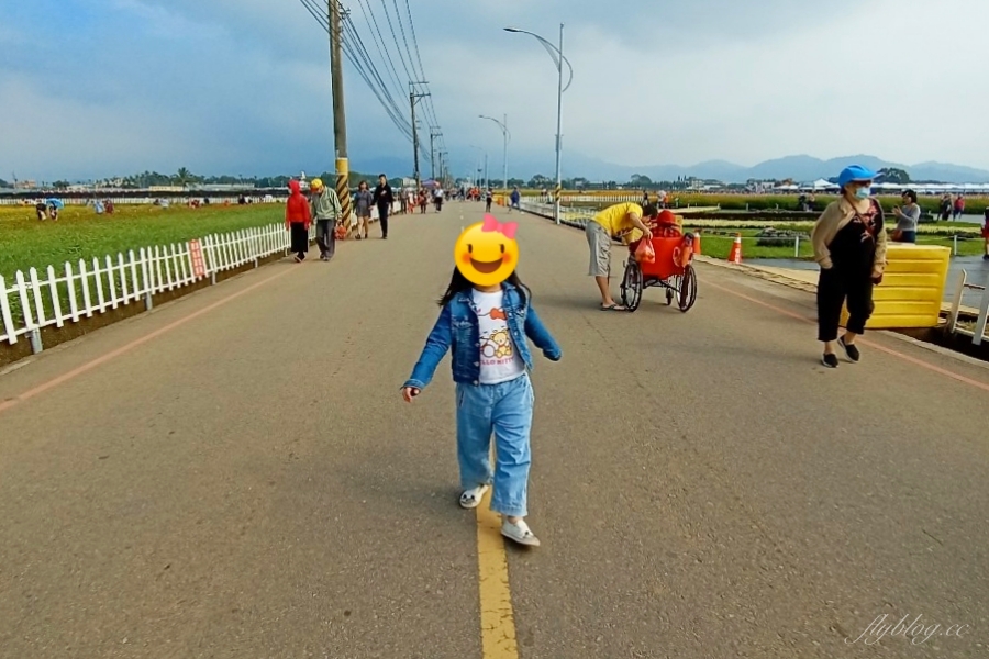 2020新社花海x台中國際花毯節|愛麗絲的花境冒險登場囉!交通方式、接駁車、停車場、美食推薦、旅遊景點 @飛天璇的口袋 2020新社花海x台中國際花毯節|愛麗絲的花境冒險登場囉!交通方式、接駁車、停車場、美食推薦、旅遊景點 @飛天璇的口袋