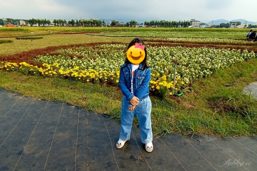 2020新社花海x台中國際花毯節｜愛麗絲的花境冒險登場囉！交通方式、接駁車、停車場、美食推薦、旅遊景點 @飛天璇的口袋