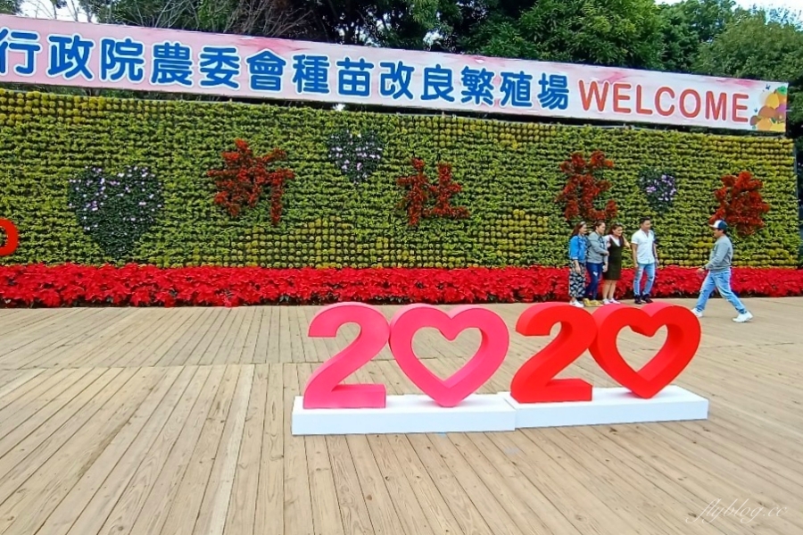 2020新社花海x台中國際花毯節|愛麗絲的花境冒險登場囉!交通方式、接駁車、停車場、美食推薦、旅遊景點 @飛天璇的口袋 2020新社花海x台中國際花毯節|愛麗絲的花境冒險登場囉!交通方式、接駁車、停車場、美食推薦、旅遊景點 @飛天璇的口袋