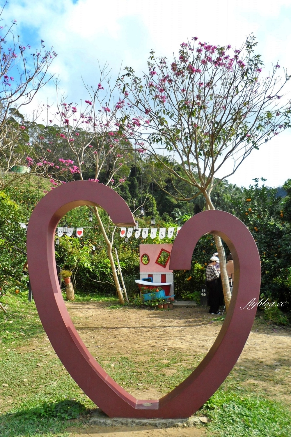 苗栗頭屋｜橙香森林．森林裡面的浪漫玻璃屋，有大片草原和橙香隧道 @飛天璇的口袋