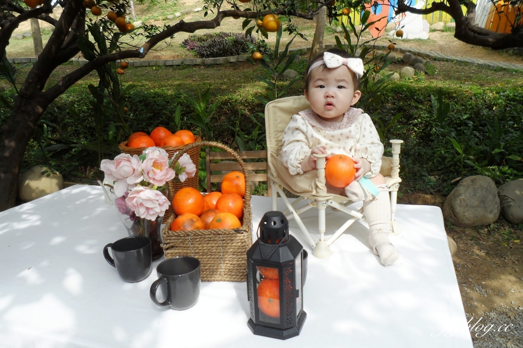 苗栗頭屋｜橙香森林．森林裡面的浪漫玻璃屋，有大片草原和橙香隧道 @飛天璇的口袋