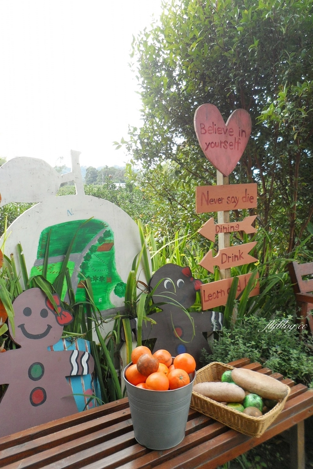 苗栗頭屋｜橙香森林．森林裡面的浪漫玻璃屋，有大片草原和橙香隧道 @飛天璇的口袋