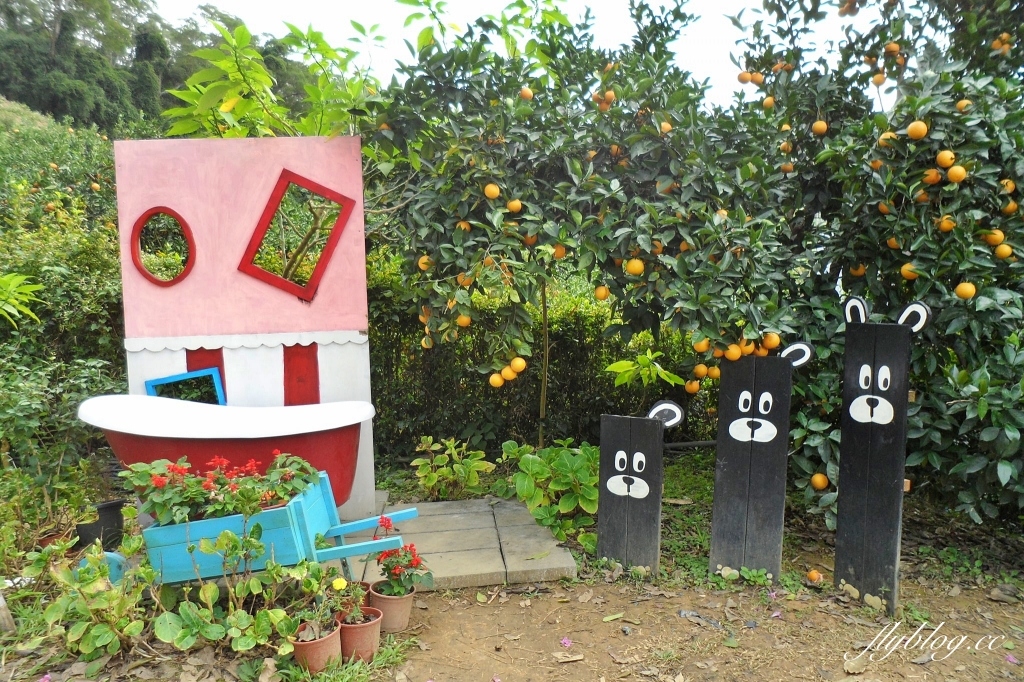 苗栗頭屋｜橙香森林．森林裡面的浪漫玻璃屋，有大片草原和橙香隧道 @飛天璇的口袋
