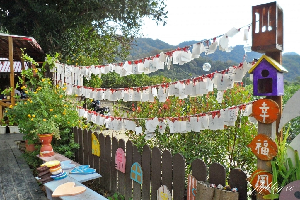 苗栗頭屋｜橙香森林．森林裡面的浪漫玻璃屋，有大片草原和橙香隧道 @飛天璇的口袋