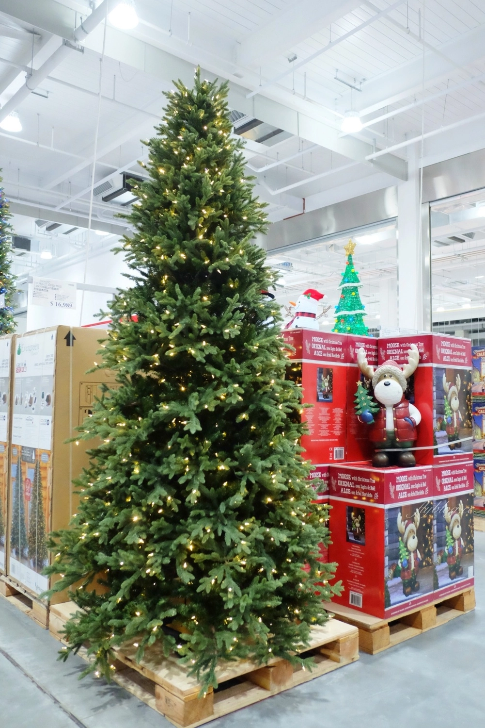 好市多北屯店 Costco｜北屯好市多開幕囉！北屯好市多獨賣商品x專屬優惠 @飛天璇的口袋