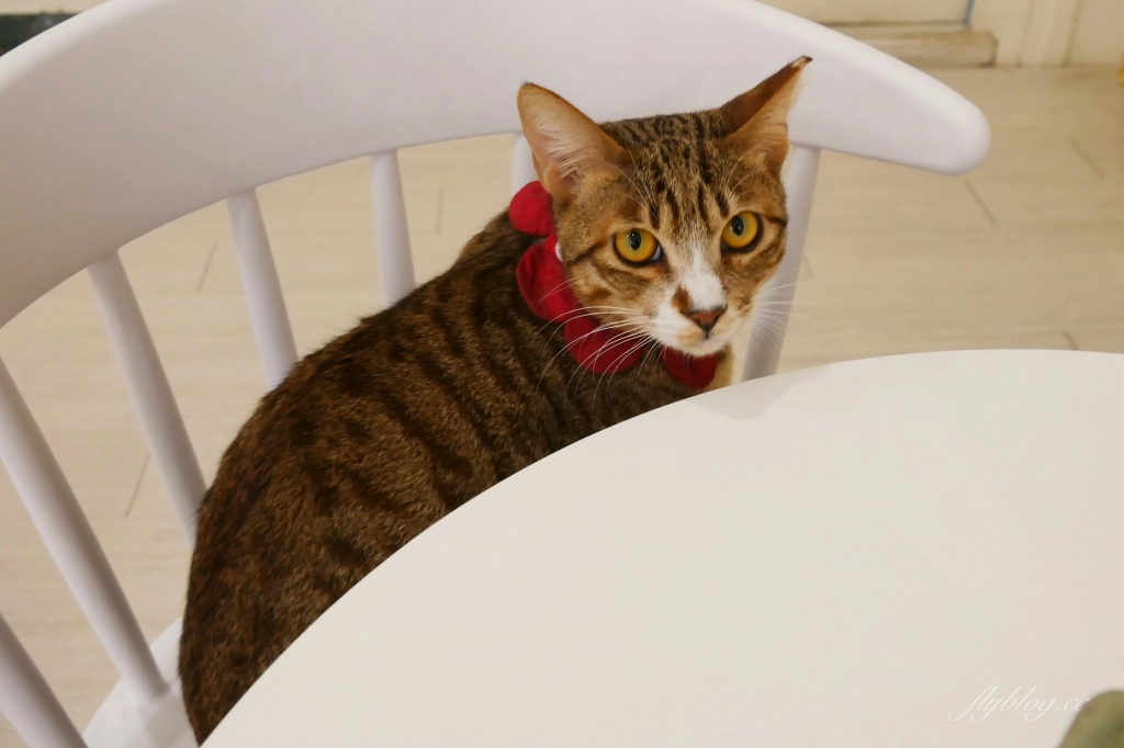 台中北區｜有一天 Someday．台中客製化甜點工作室，韓系簡約風格手作蛋糕 @飛天璇的口袋