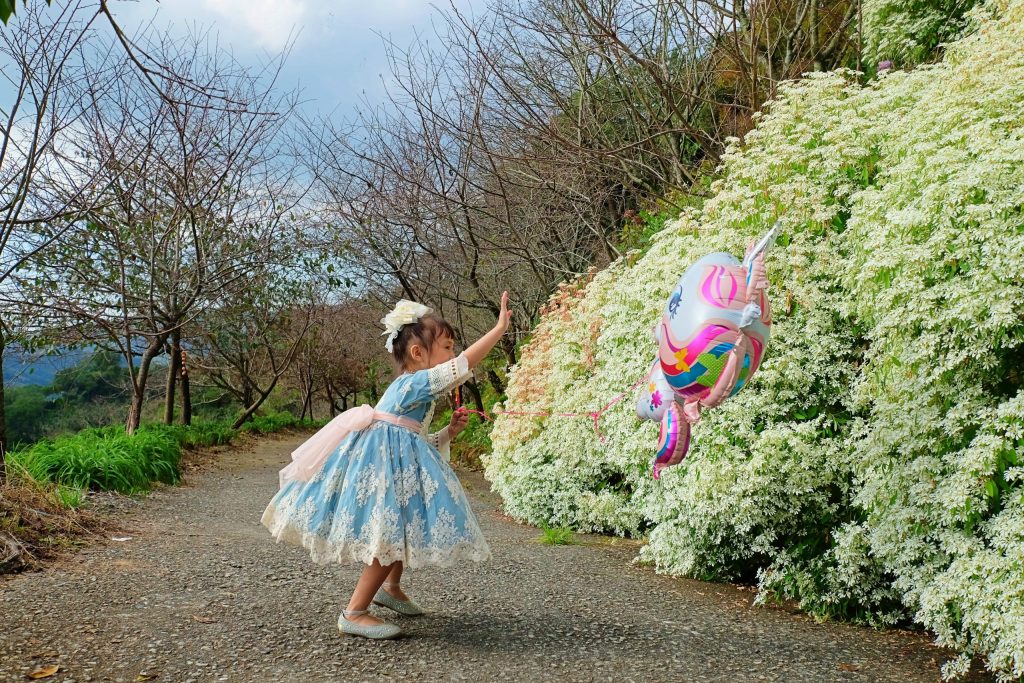 台中新社｜沐心泉白雪木季．台中也下雪囉！體驗仿佛置身浪漫異國雪地 @飛天璇的口袋