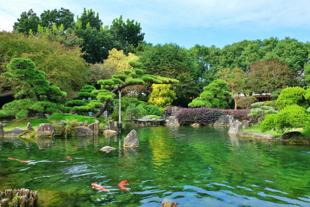 成美文化園｜占地3.5公頃成美文化園！台版兼六園、平地嘉明湖、落羽松大道 、百年三合院古厝 @飛天璇的口袋