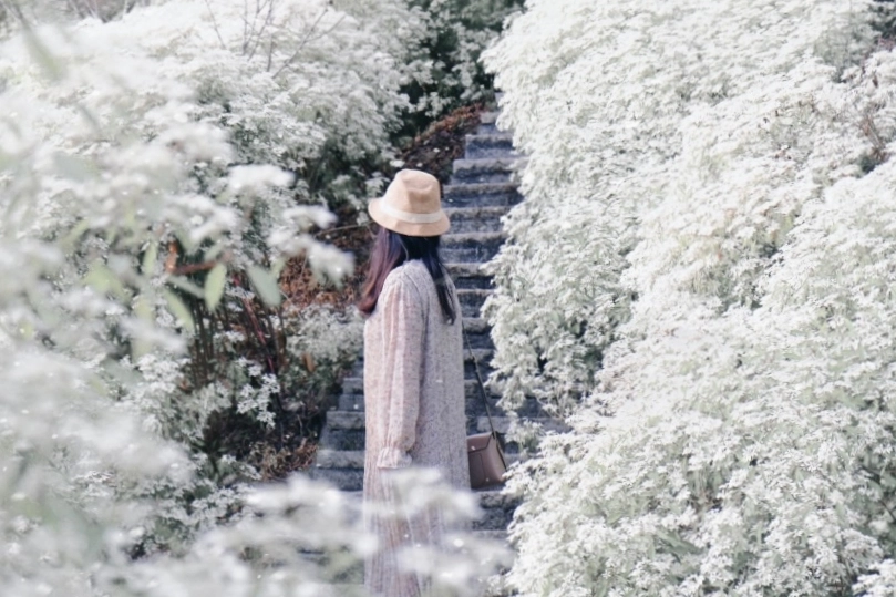 台中新社｜沐心泉白雪木季．台中也下雪囉！體驗仿佛置身浪漫異國雪地 @飛天璇的口袋