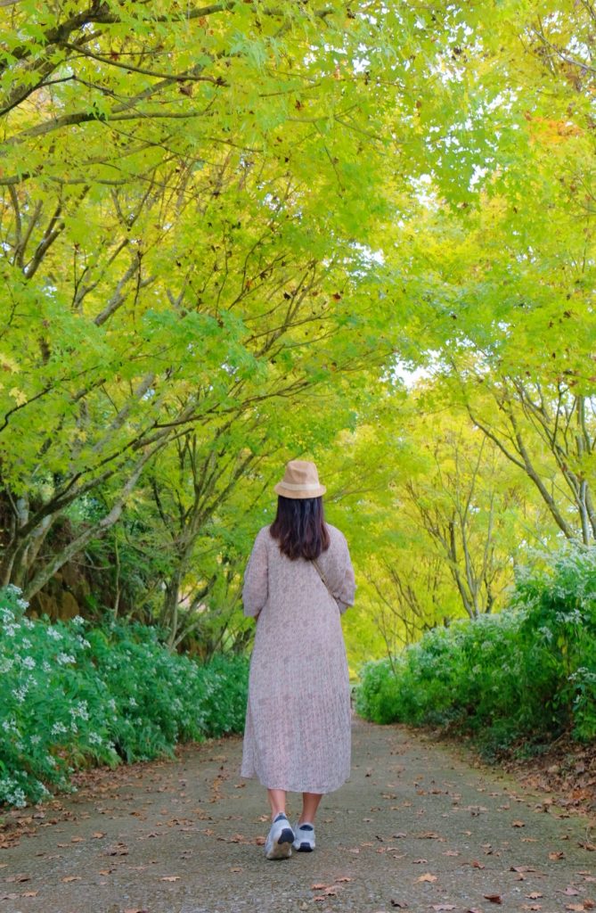 台中新社｜沐心泉白雪木季．台中也下雪囉！體驗仿佛置身浪漫異國雪地 @飛天璇的口袋