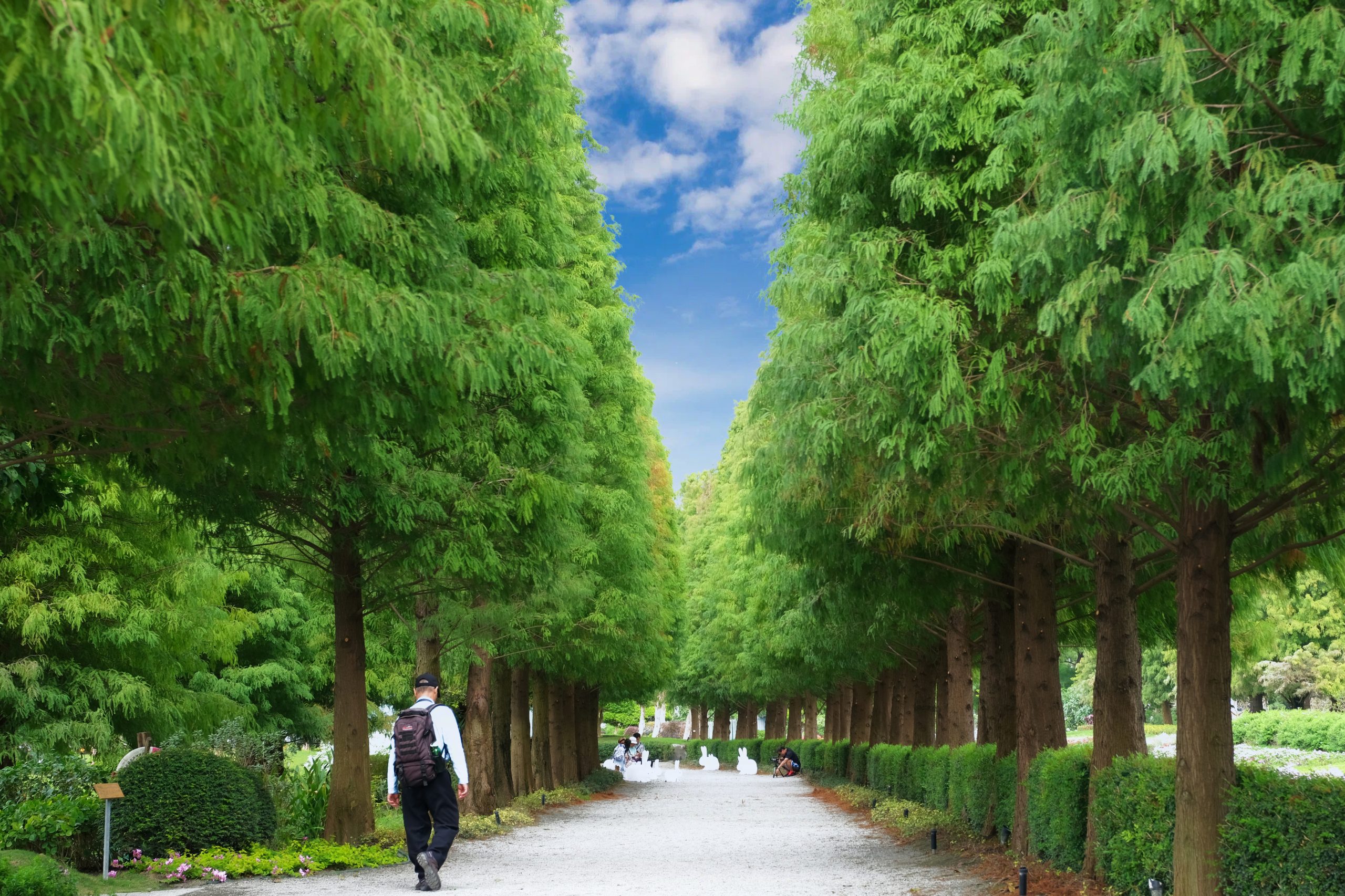 成美文化園｜占地3.5公頃成美文化園！台版兼六園、平地嘉明湖、落羽松大道 、百年三合院古厝 @飛天璇的口袋