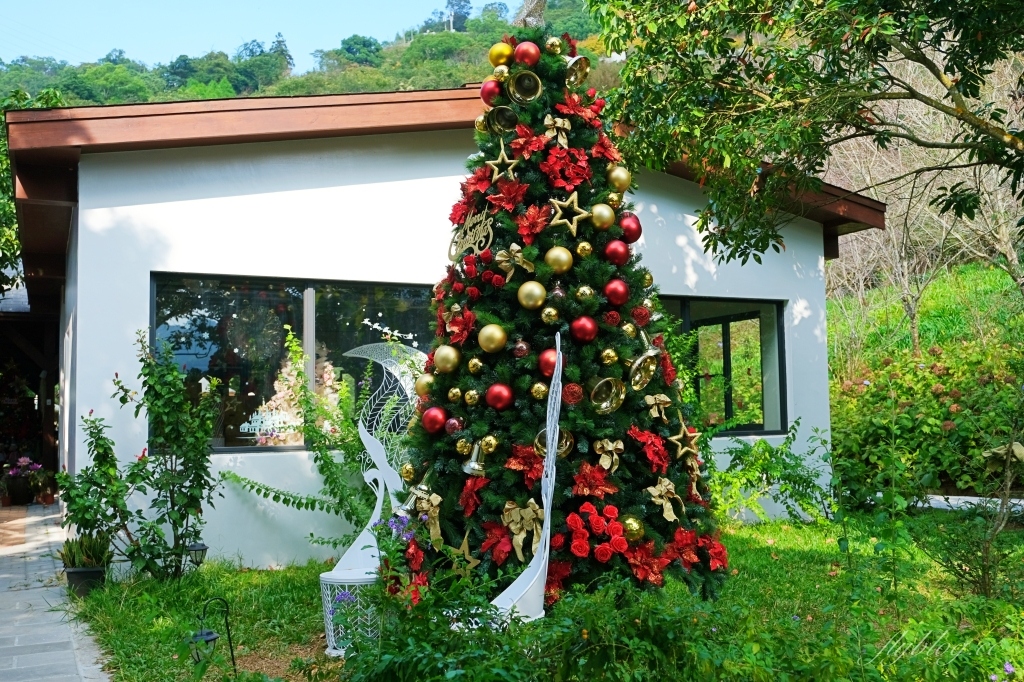 台中新社｜沐心泉白雪木季．台中也下雪囉！體驗仿佛置身浪漫異國雪地 @飛天璇的口袋