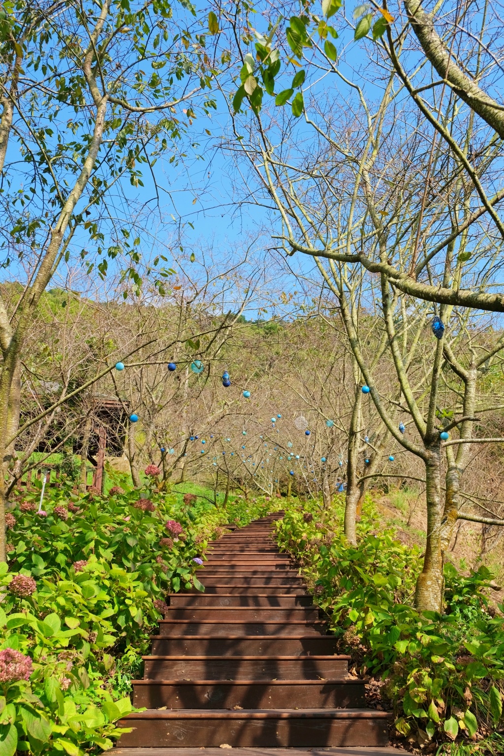 台中新社｜沐心泉白雪木季．台中也下雪囉！體驗仿佛置身浪漫異國雪地 @飛天璇的口袋