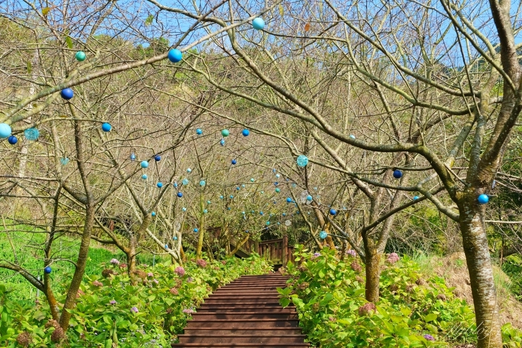 台中新社｜沐心泉白雪木季．台中也下雪囉！體驗仿佛置身浪漫異國雪地 @飛天璇的口袋