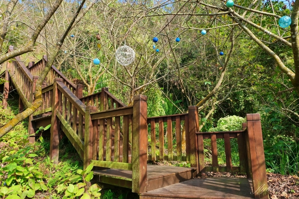 台中新社｜沐心泉白雪木季．台中也下雪囉！體驗仿佛置身浪漫異國雪地 @飛天璇的口袋