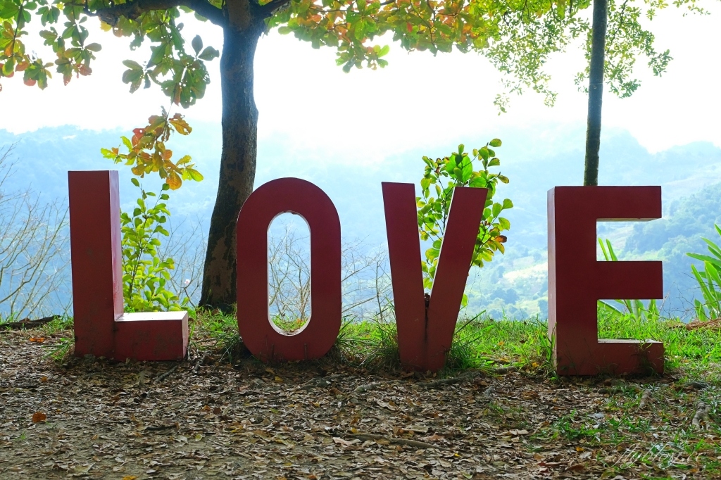 台中新社｜沐心泉白雪木季．台中也下雪囉！體驗仿佛置身浪漫異國雪地 @飛天璇的口袋