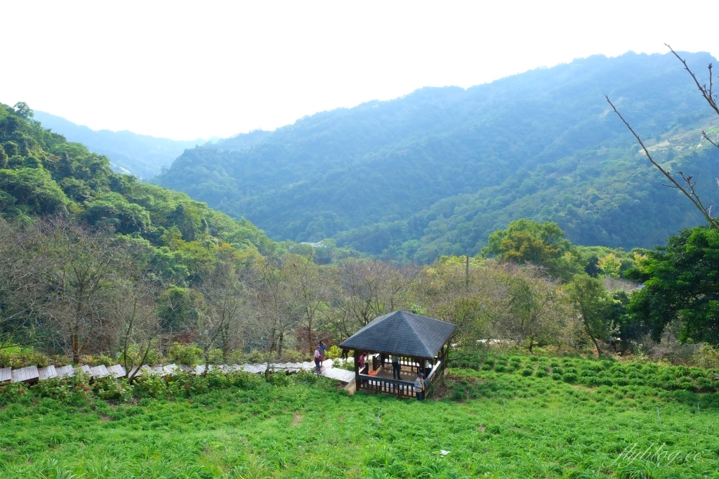 台中新社｜沐心泉白雪木季．台中也下雪囉！體驗仿佛置身浪漫異國雪地 @飛天璇的口袋