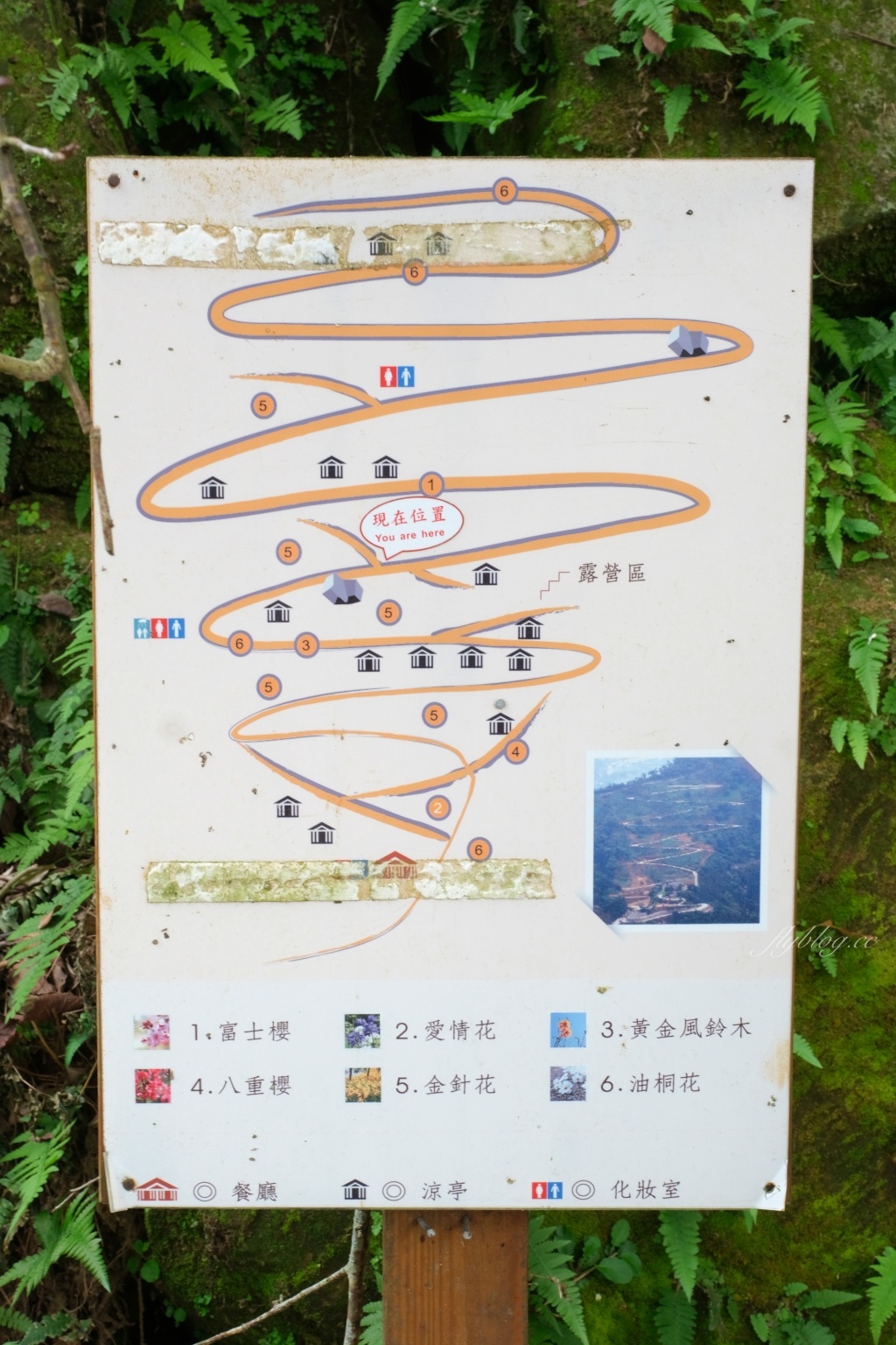 台中新社｜沐心泉白雪木季．台中也下雪囉！體驗仿佛置身浪漫異國雪地 @飛天璇的口袋