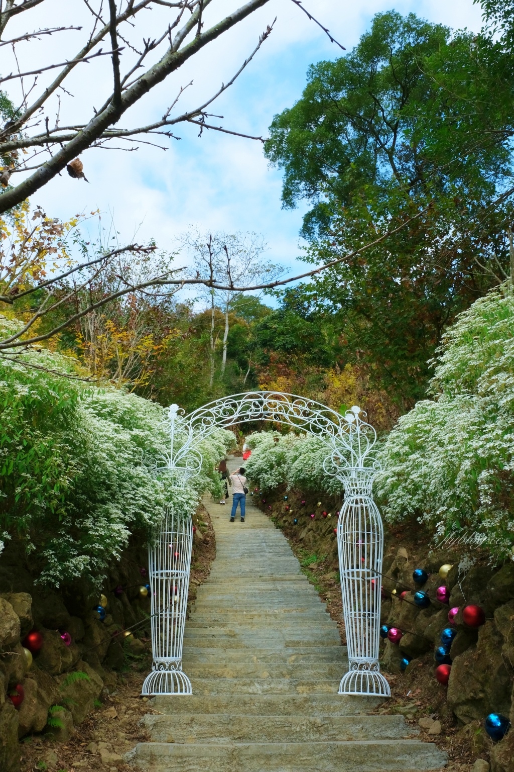 台中新社｜沐心泉白雪木季．台中也下雪囉！體驗仿佛置身浪漫異國雪地 @飛天璇的口袋